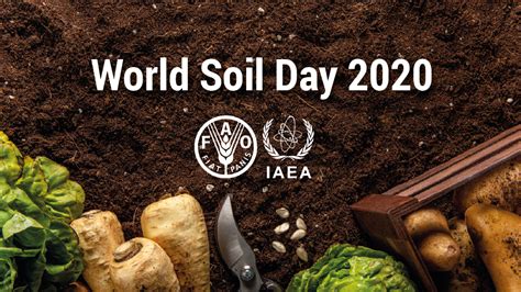fao world soil day